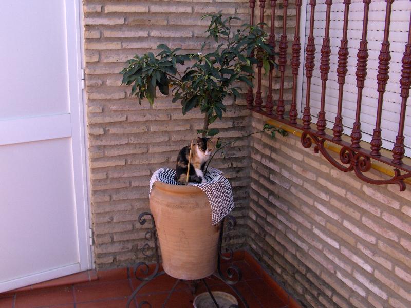 CASA INDIPENDENTE CON TERRENO IN VENDITA