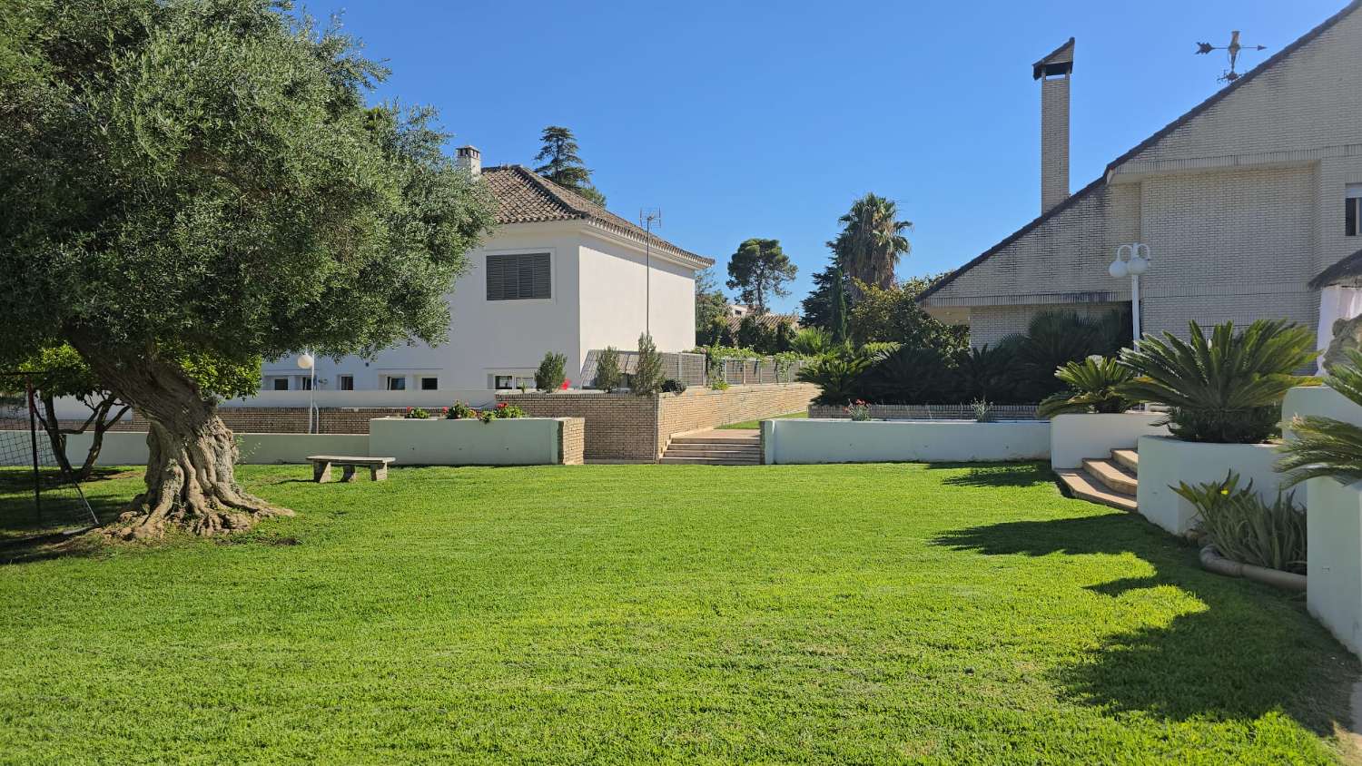 INDEPENDENT VILLA FOR SALE IN THE FULL CENTER OF JEREZ DE LA FRONTERA