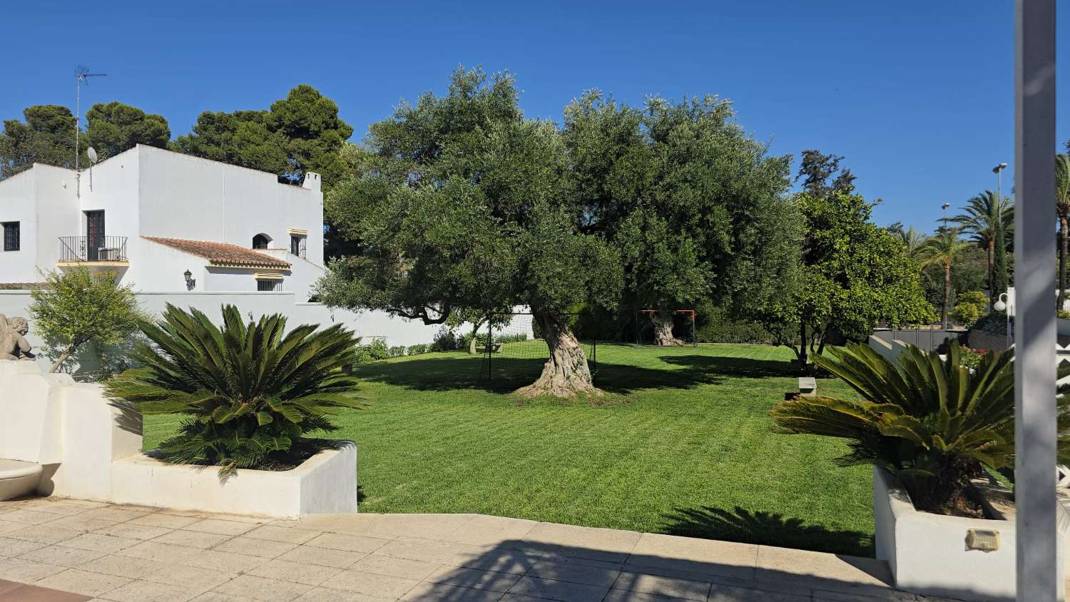 INDEPENDENT VILLA FOR SALE IN THE FULL CENTER OF JEREZ DE LA FRONTERA