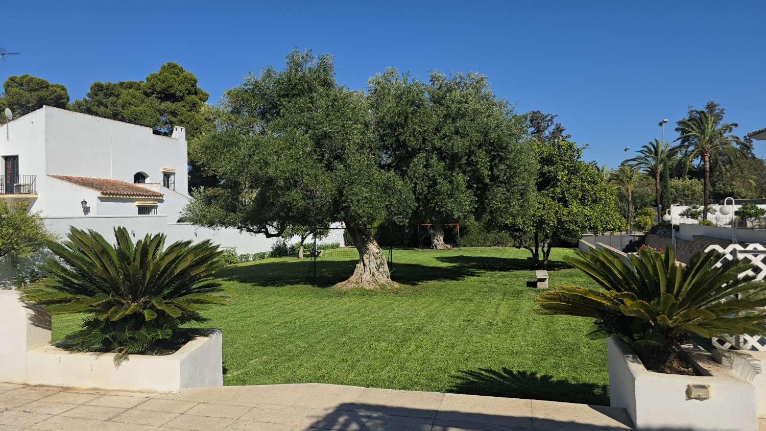 INDEPENDENT VILLA FOR SALE IN THE FULL CENTER OF JEREZ DE LA FRONTERA