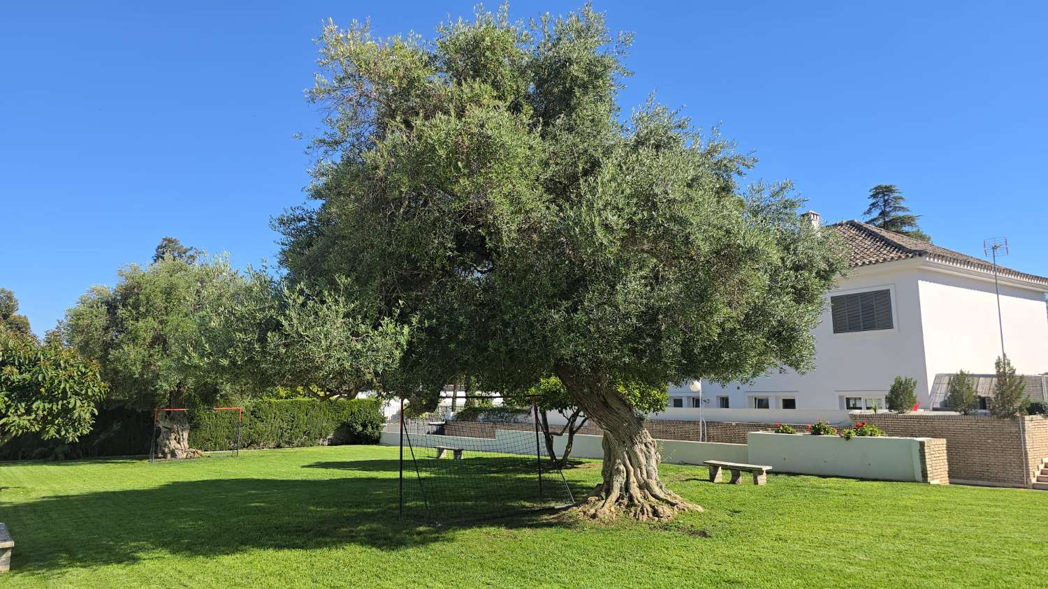 ONAFHANKELIJKE VILLA TE KOOP IN HET VOLLEDIGE CENTRUM VAN JEREZ DE LA FRONTERA