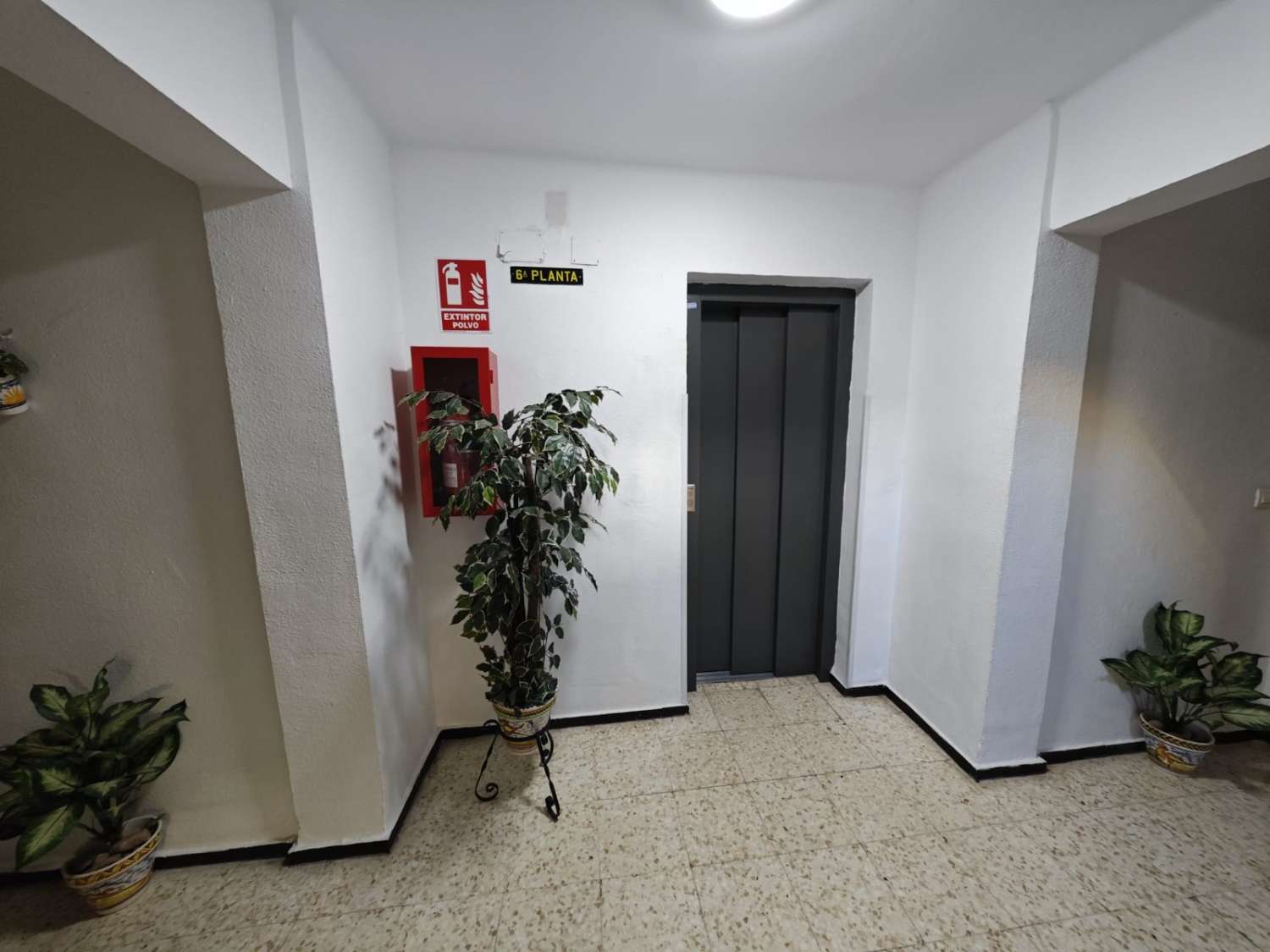 PISO EN VENTA PARQUE ALCOSA